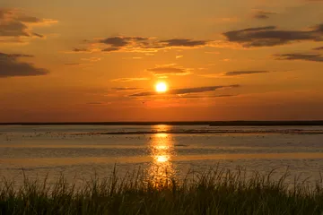 Sunrise over salt marsh at Bombay Hook in Delaware