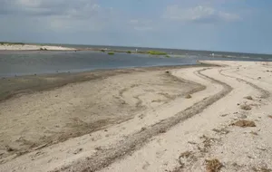 Beach at Prime Hook National Wildlife Refuge in Delaware