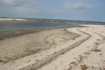 Beach at Prime Hook National Wildlife Refuge in Delaware